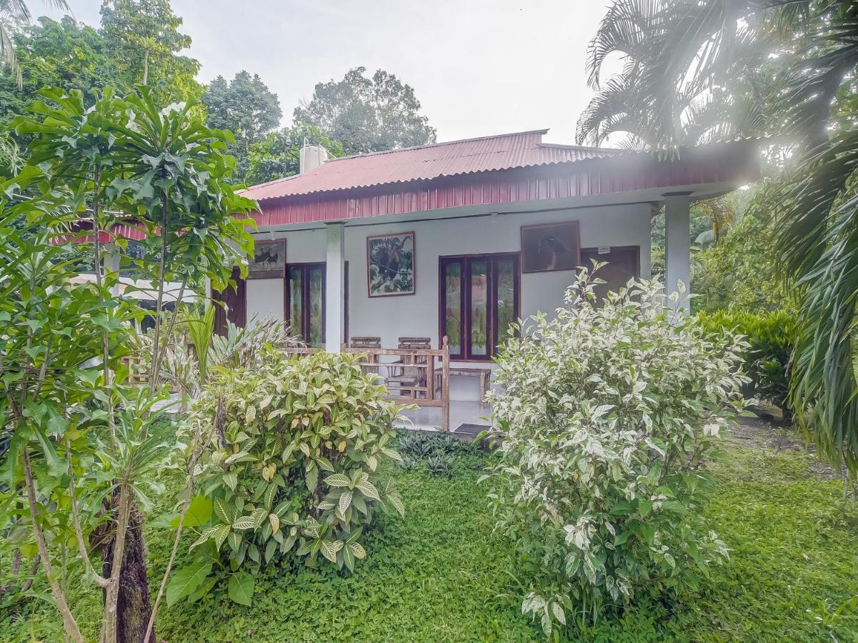 Oyo 90988 Tangkoko Jungle Homestay Rinondoran Kültér fotó