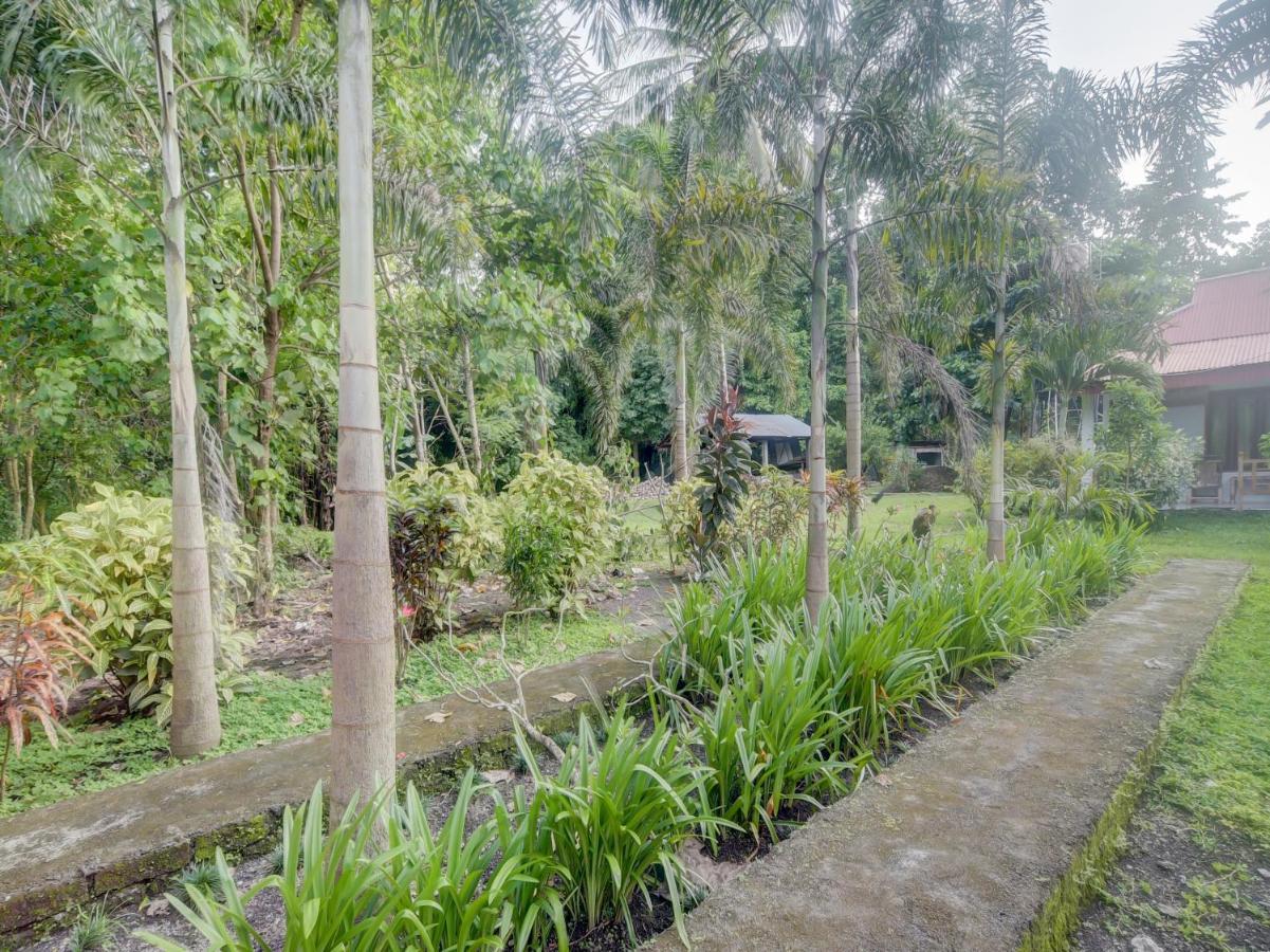Oyo 90988 Tangkoko Jungle Homestay Rinondoran Kültér fotó