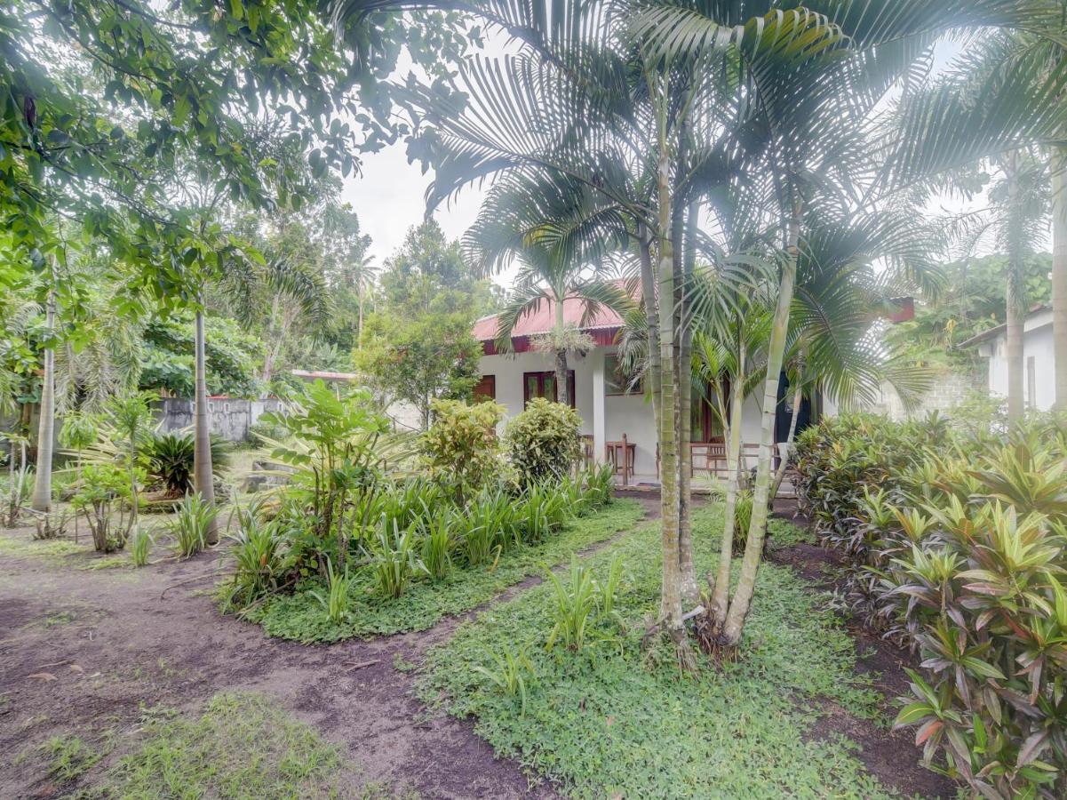 Oyo 90988 Tangkoko Jungle Homestay Rinondoran Kültér fotó